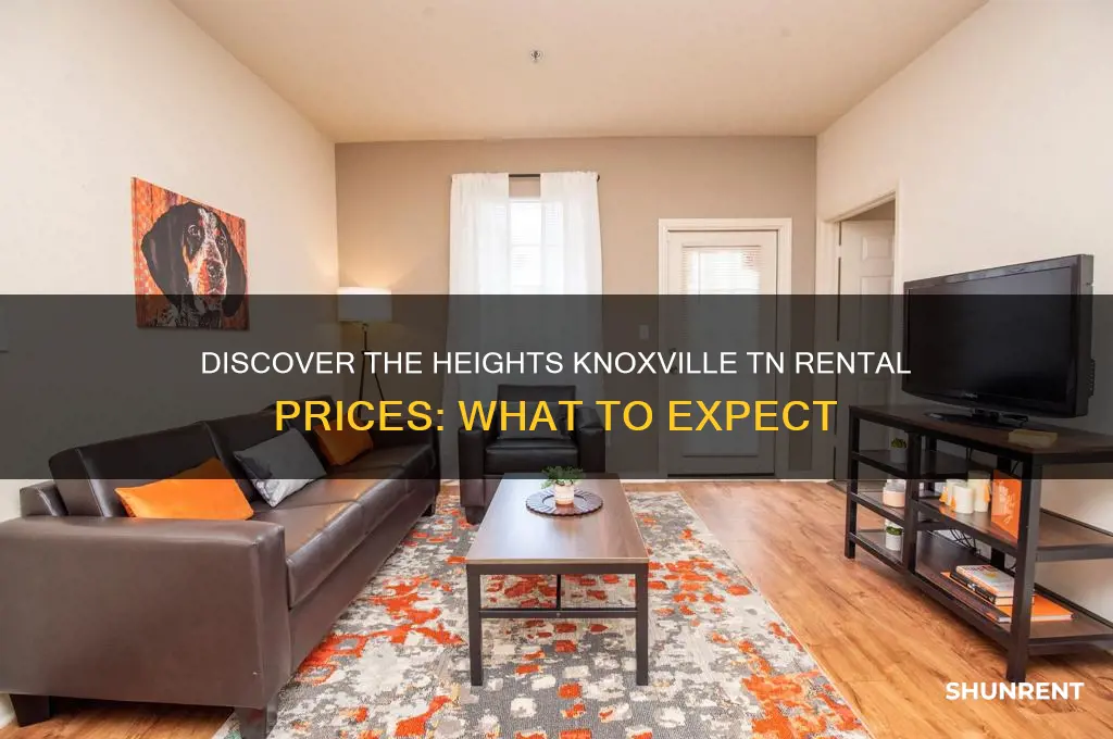what is the rent at the heights knoxville tn