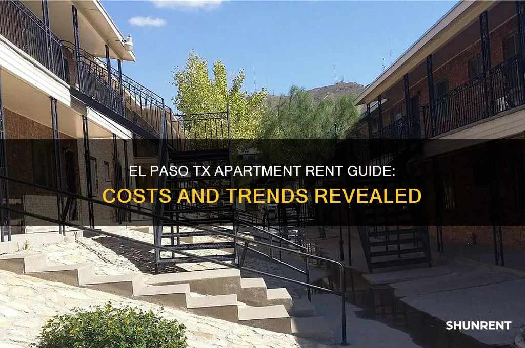 what is the rent for aprtments in el paso tx