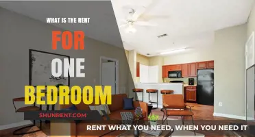 Exploring the Cost of Comfort: One-Bedroom Rent Insights