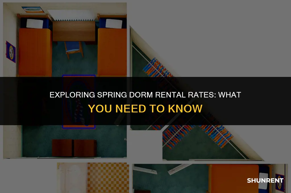 what is the rent for spring dorms