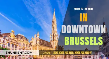 Exploring Rental Prices in the Heart of Brussels