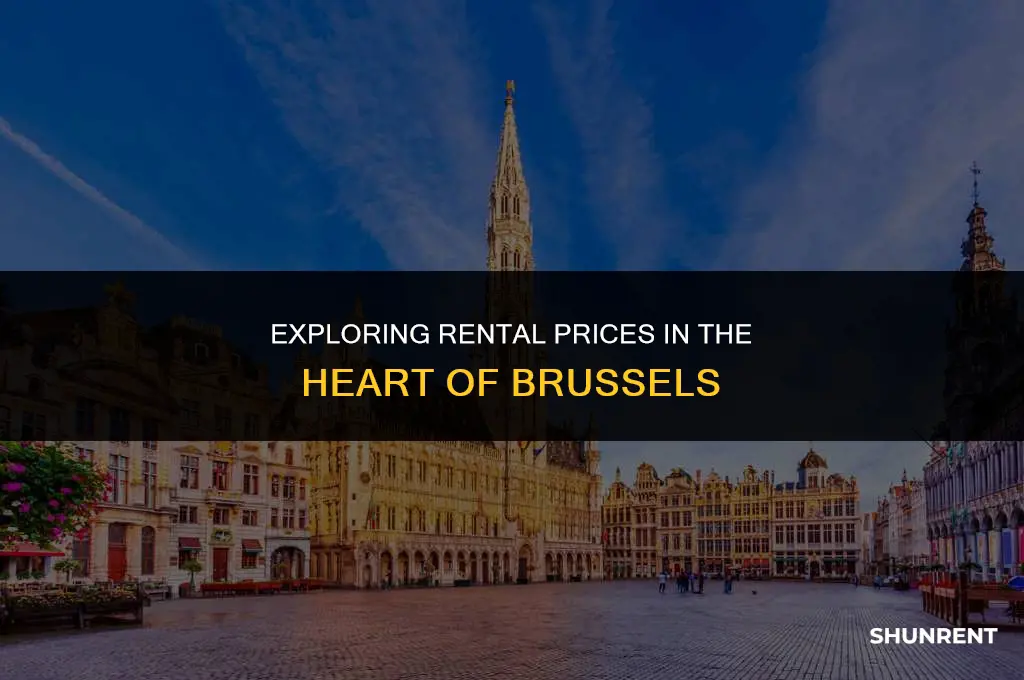 what is the rent in downtown brussels