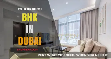 Affordable 1 BHK Rentals in Dubai: Your Ultimate Guide