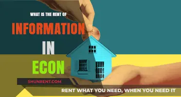 The Economic Value of Information: Understanding Its Rent in Markets