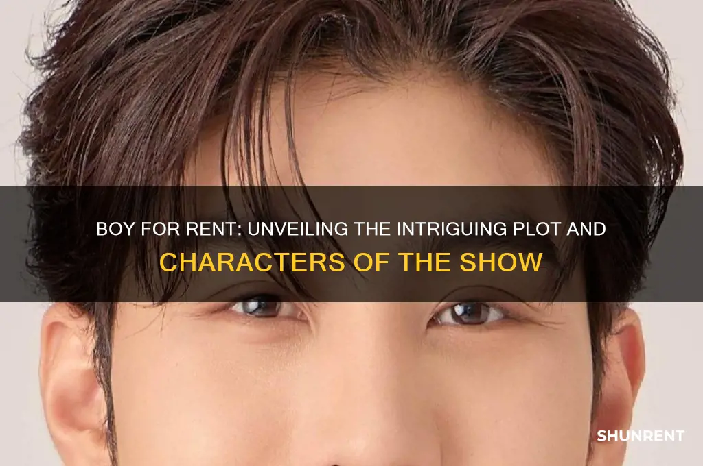 what is the show boy for rent about