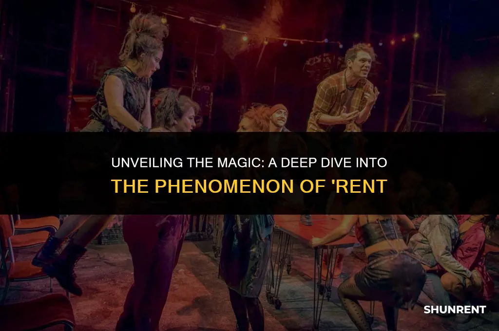 what is the stage show rent about