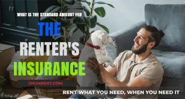 Understanding Renter's Insurance: What's the Standard Coverage Amount?