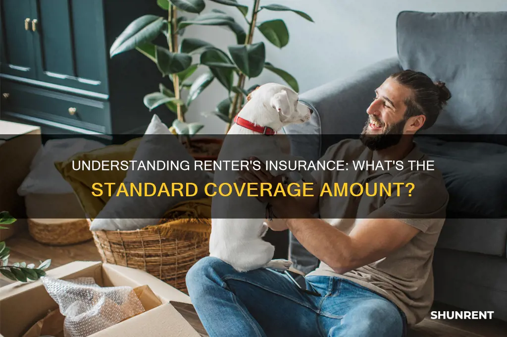 what is the standard amount for the renter