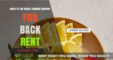 Understanding Standard Garnish Amounts for Back Rent: A Comprehensive Guide
