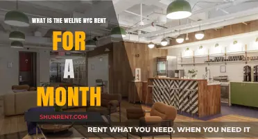 WeLive NYC Monthly Rent: Costs, Amenities, and What to Expect