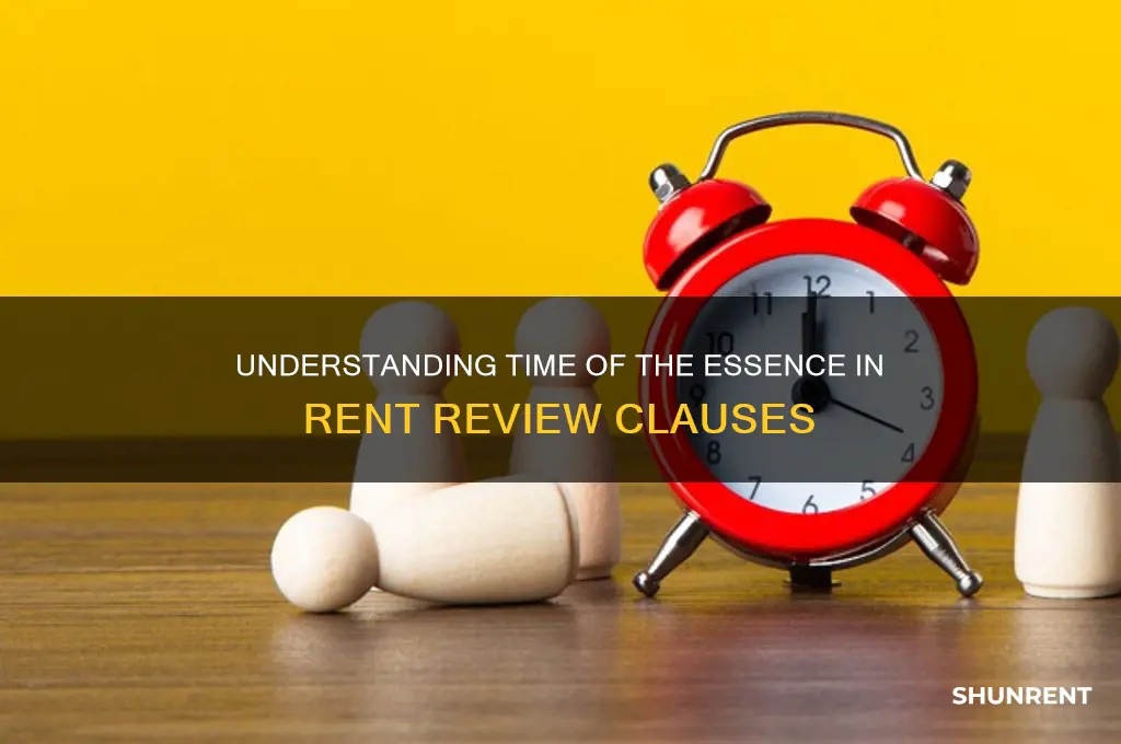 what is time of the essence rent review