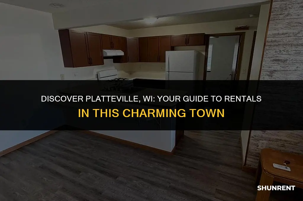 what is to rent in platteville wi