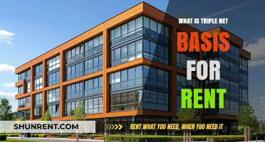 Understanding Triple Net Basis for Rent: A Comprehensive Guide