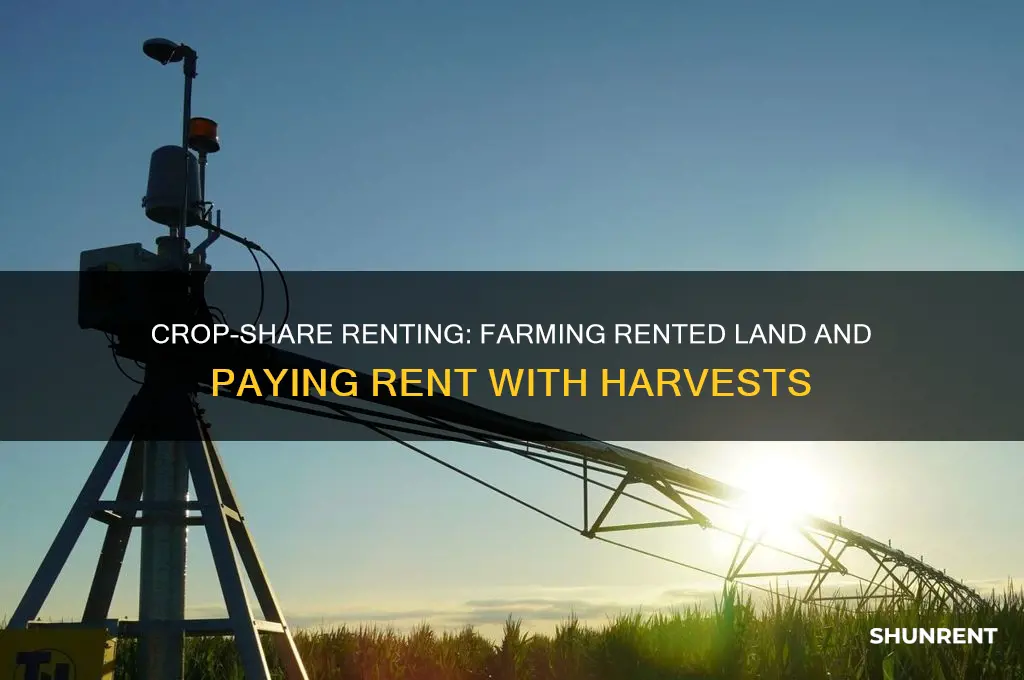 what isrented land to farm and paid rent with crops