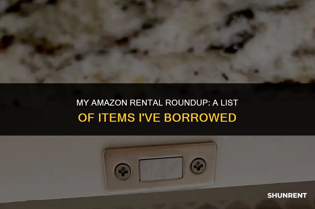 what items did i rent from amazon