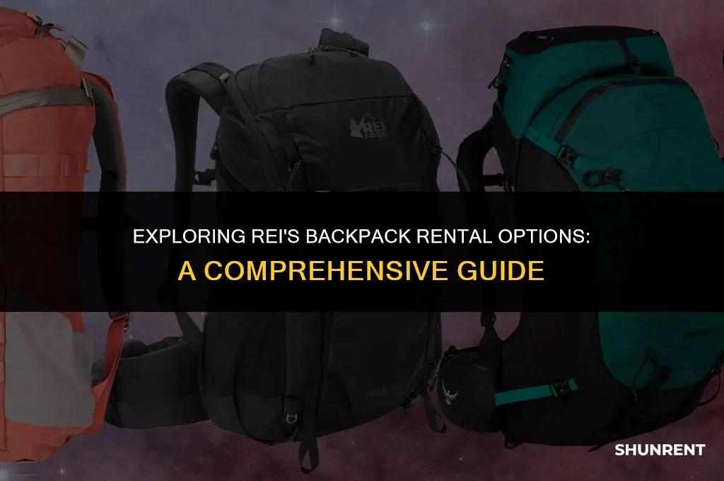 what kind of backpacks does rei rent