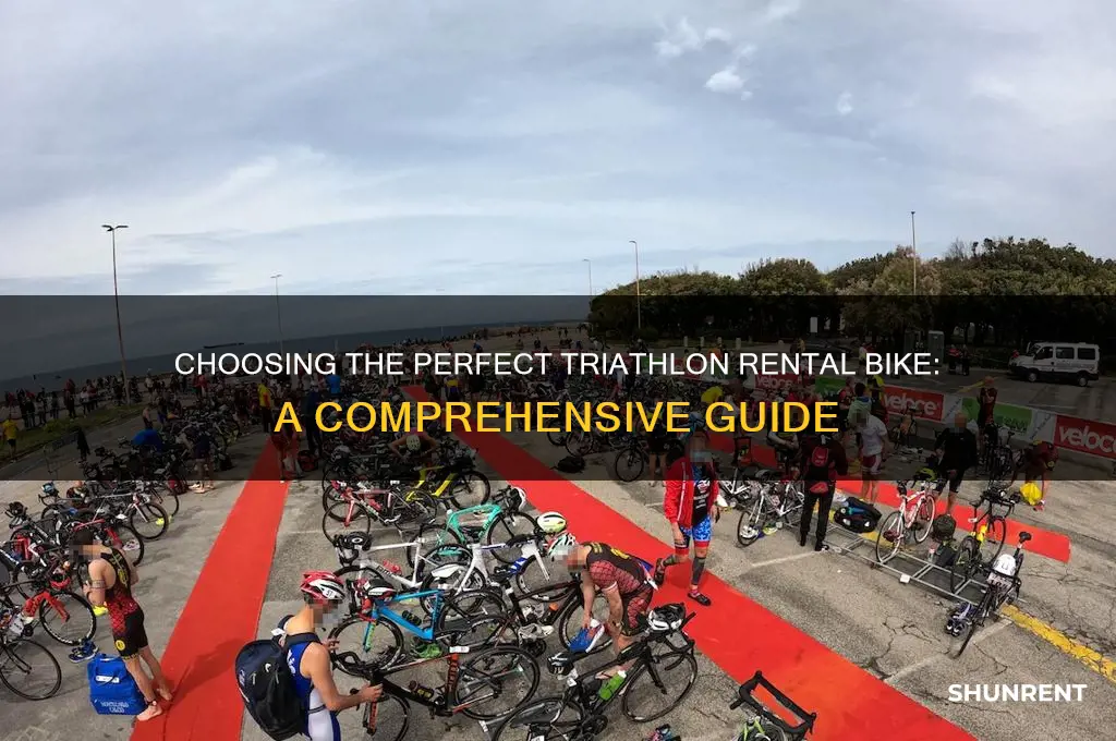 what kind of bike should i rent for triathlon
