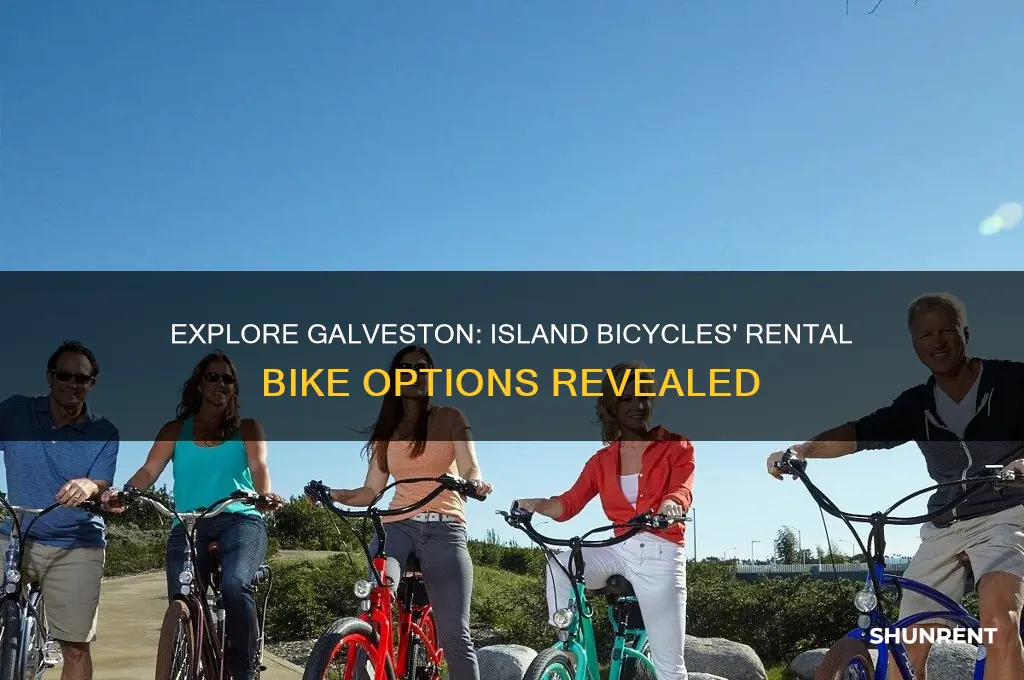 what kind of bikes does island bicycles in galveston rent