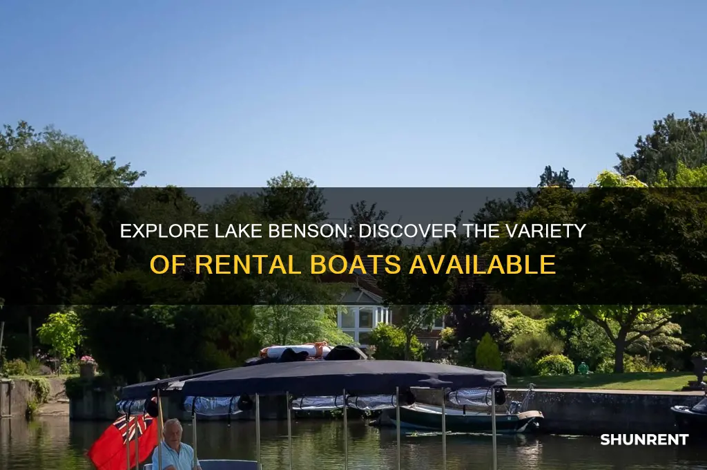 what kind of boats do they rent at lake benson