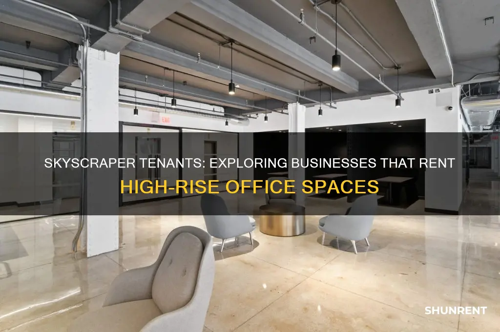 what kind of businesses rent out spaces in skyscrapers