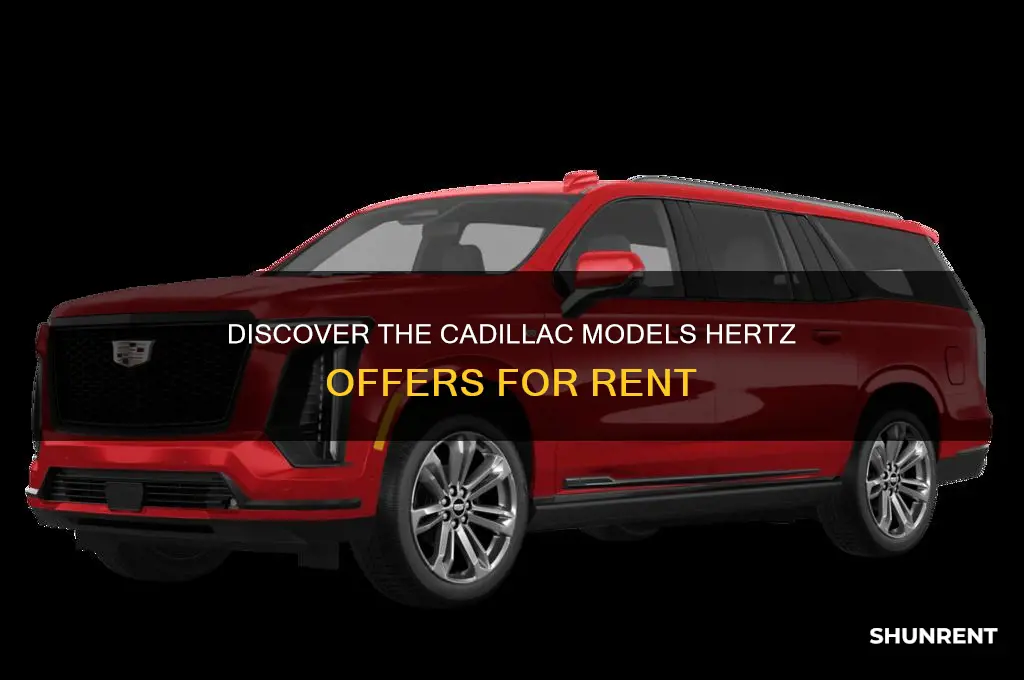 what kind of cadillac does hertz rent out