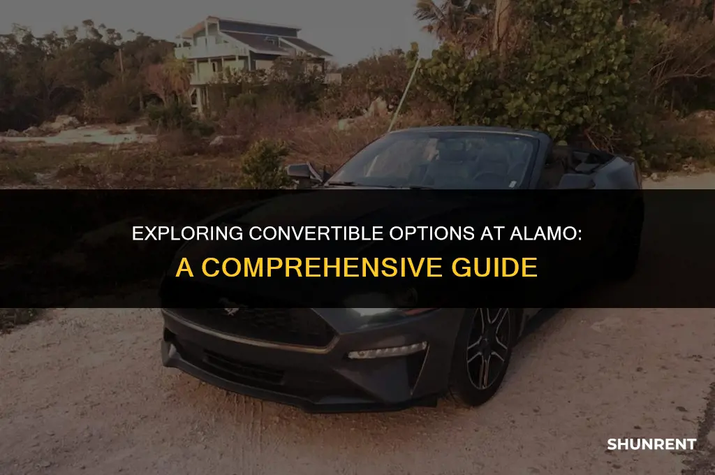 what kind of convertibles does alama rent