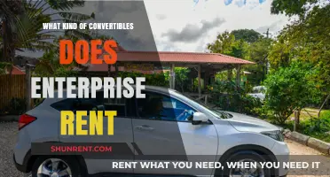 Exploring Enterprise's Convertible Fleet: Your Guide to Open-Top Rentals