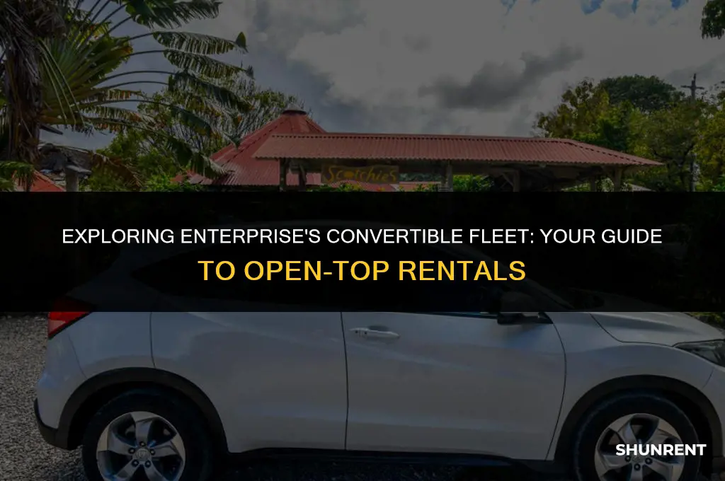 what kind of convertibles does enterprise rent