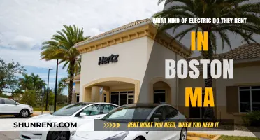 Electric Vehicle Rentals in Boston: What Types Are Available?