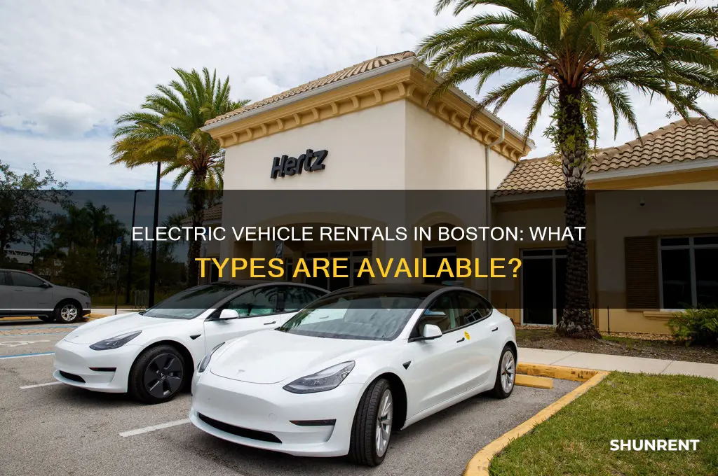 what kind of electric do they rent in boston ma