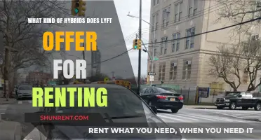 Lyft's Eco-Friendly Fleet: Exploring Hybrid Rental Options for Drivers