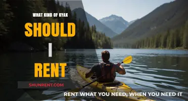 Choosing the Perfect Kayak: A Beginner's Guide to Renting