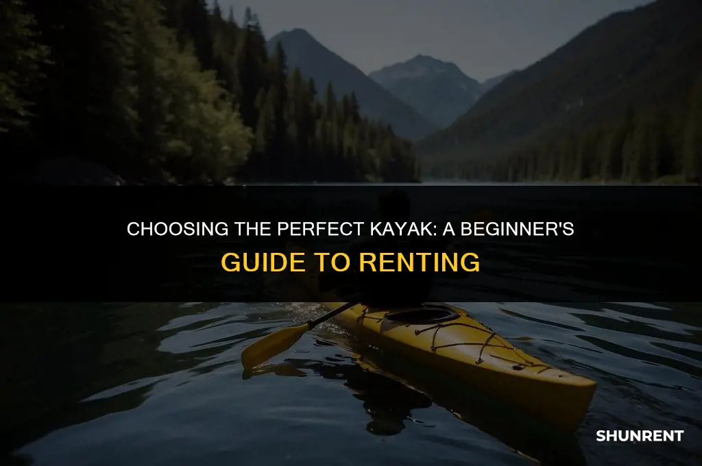 what kind of kyak should i rent