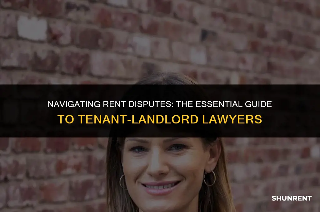 what kind of lawyers deel with rent