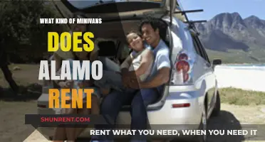 Exploring Alamo's Minivan Fleet: Comfort and Style for Every Journey