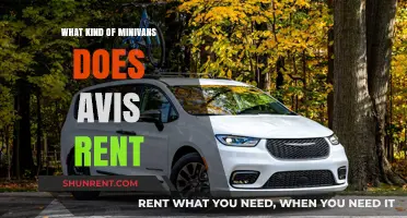 Exploring Avis's Minivan Fleet: Comfort and Style for Every Journey