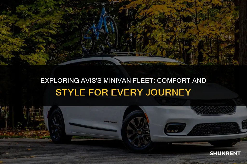 what kind of minivans does avis rent