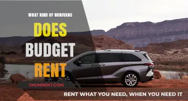 Exploring Budget's Minivan Fleet: A Comprehensive Guide
