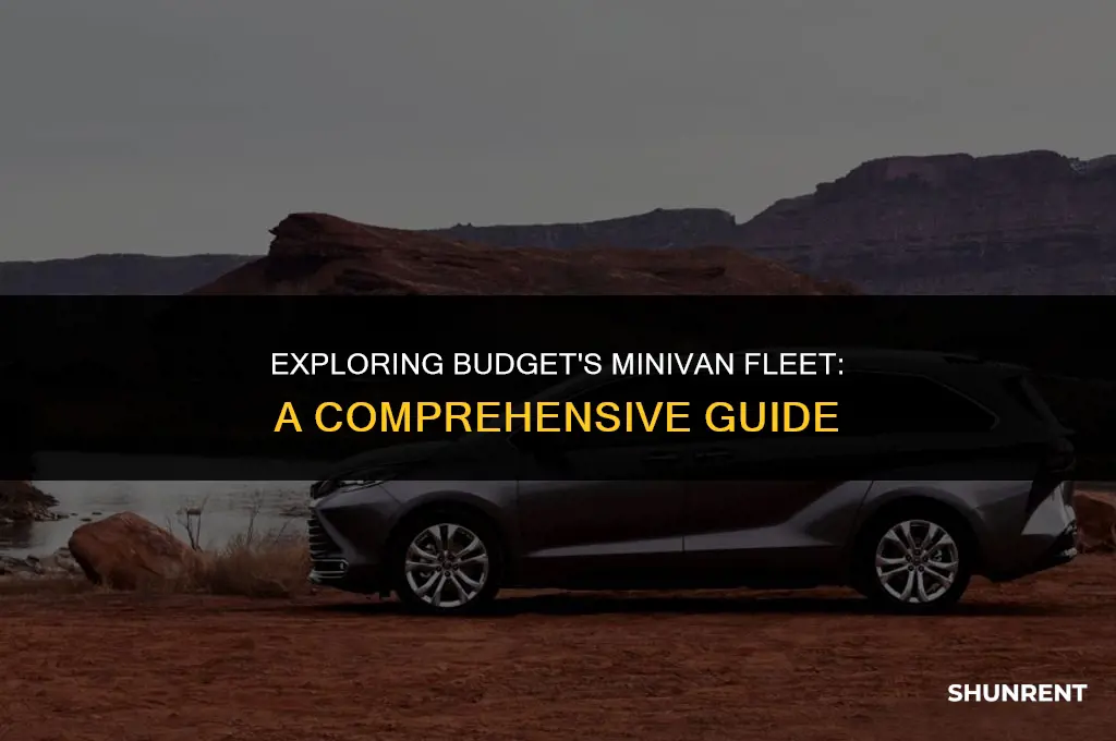 what kind of minivans does budget rent