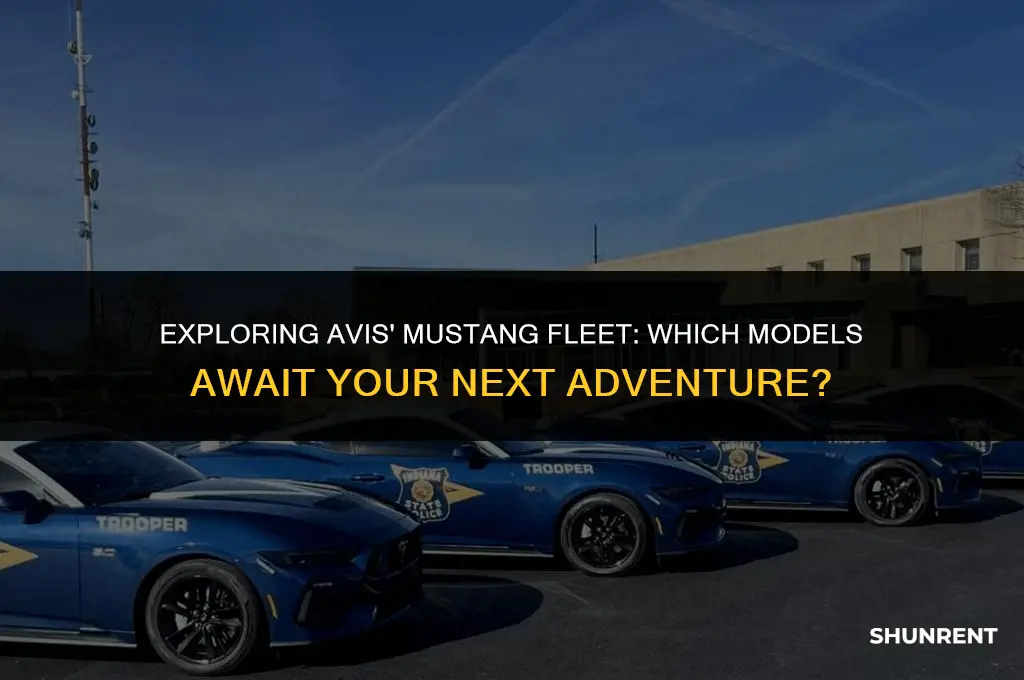 what kind of mustang does avis rent