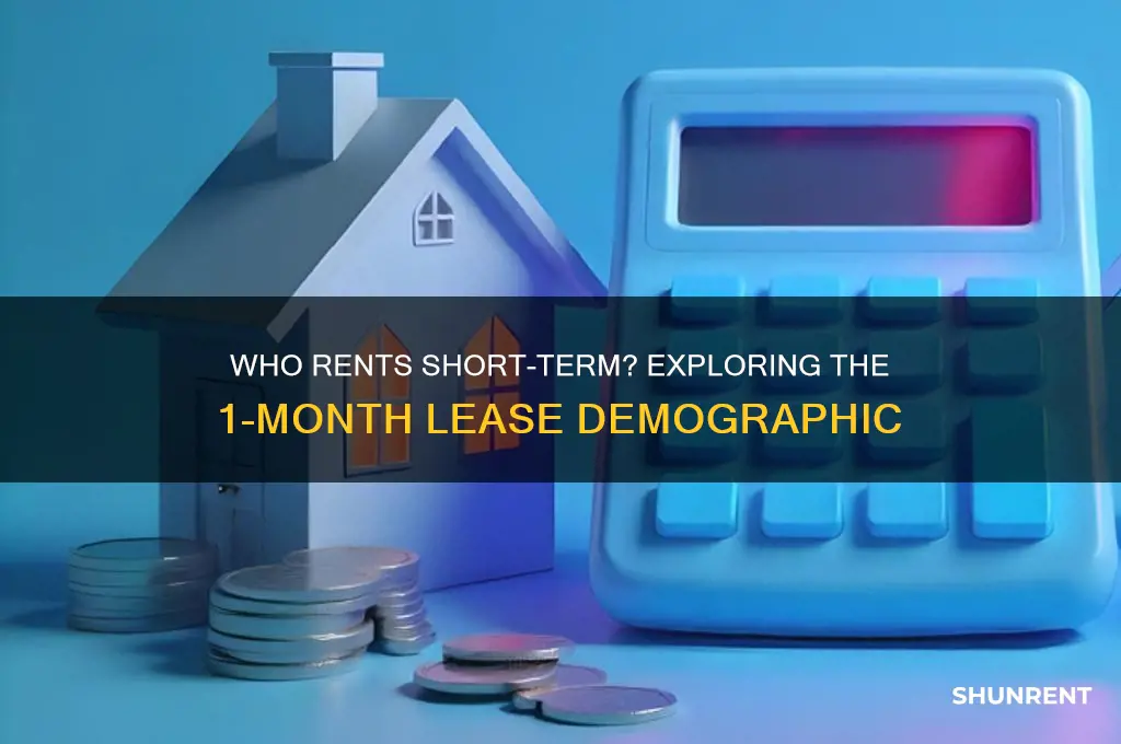what kind of people rent short term 1 month