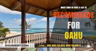 Best Cat-Friendly Rentals in Oahu: Tips for Pet Lovers