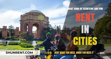 Exploring City Scooter Rentals: Types and Options for Urban Riders
