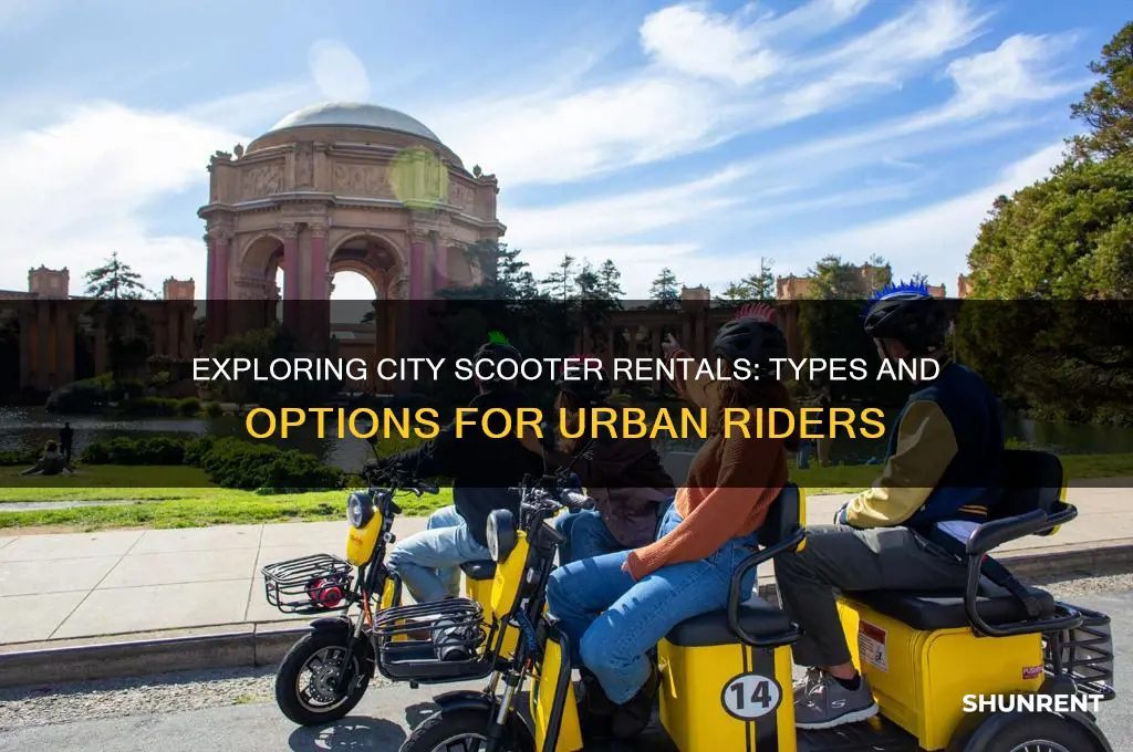 what kind of scooters are for rent in cities