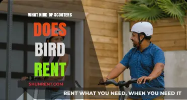 Exploring Bird's Fleet: A Guide to Their Electric Scooters