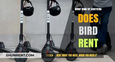 Exploring Bird's Scooter Fleet: A Comprehensive Guide