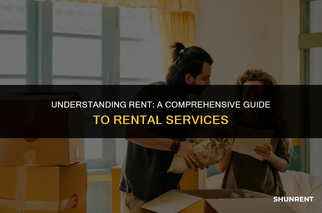 what kind of service is rent considered