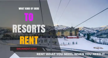 Choosing the Perfect Skis: A Guide to Resort Rentals