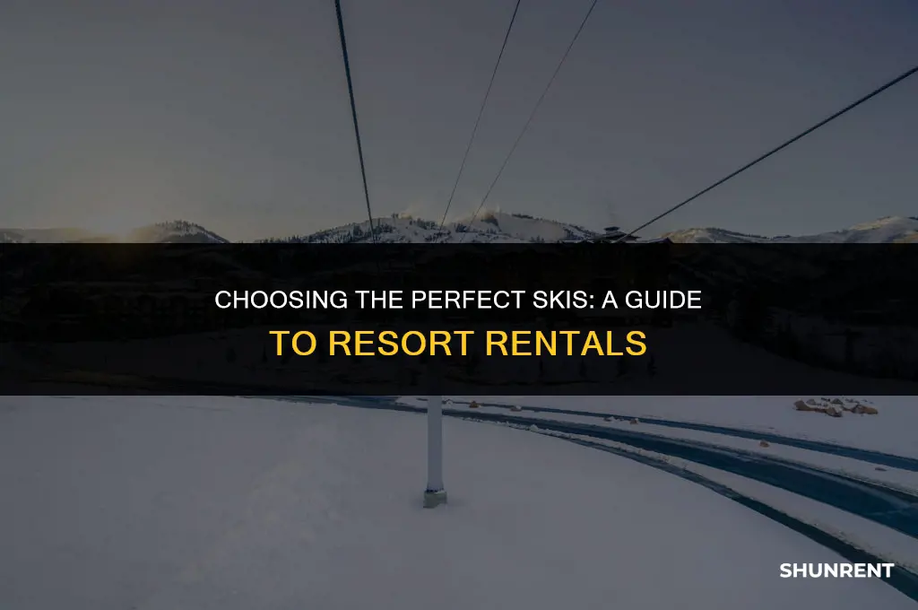 what kind of skiis to resorts rent