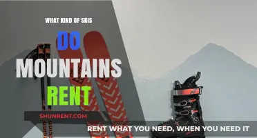 Discover the Perfect Skis for Rent on Your Mountain Adventure